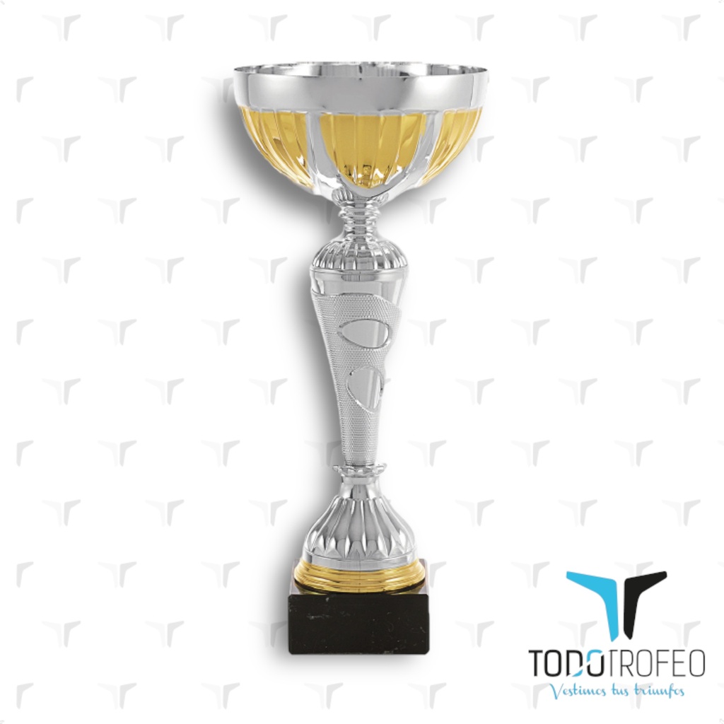 Trofeo 17058/3   24cm plata y oro