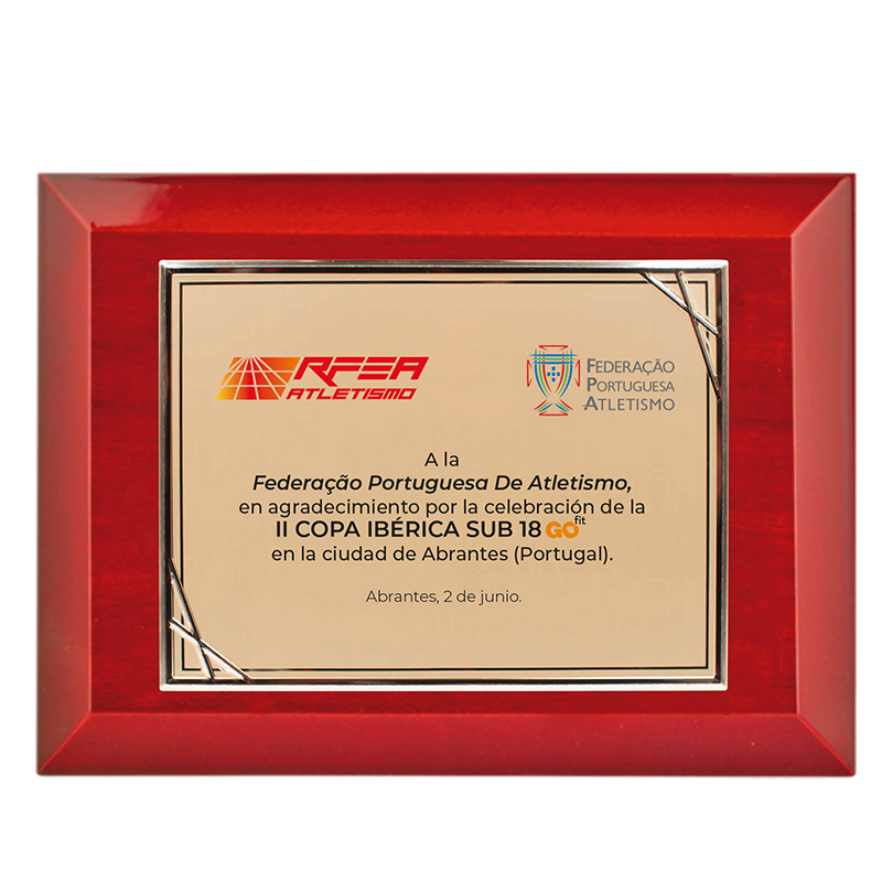 Placa homenaje en aluminio de 3 tamaños. Ref. MANILA