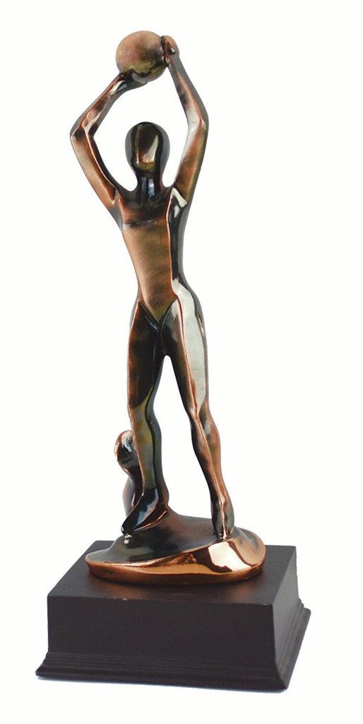 Trofeo de Baloncesto de 24cm de altura. Ref. 24153