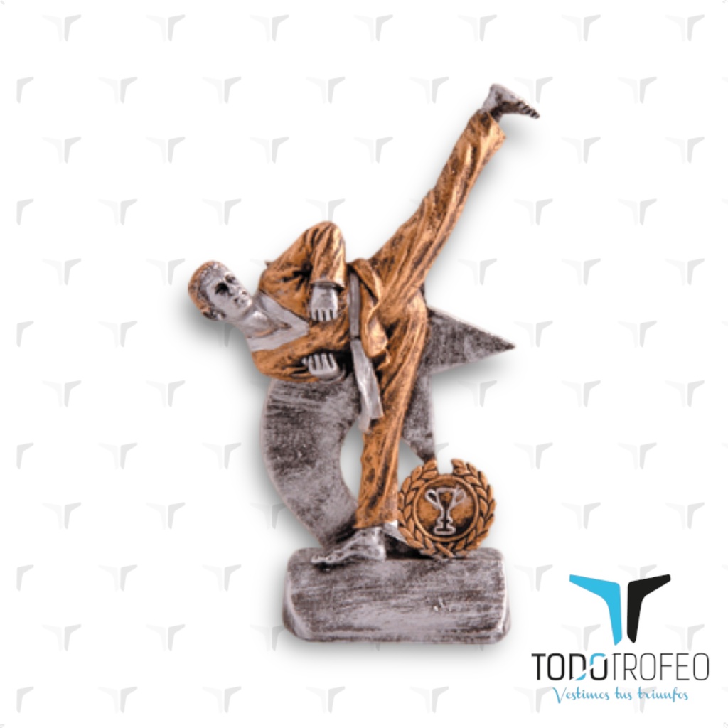 Resina 11148/3-30 alt.17cm karate