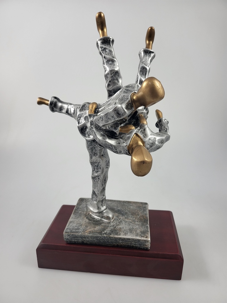 Resina 15235/3 24cm judo