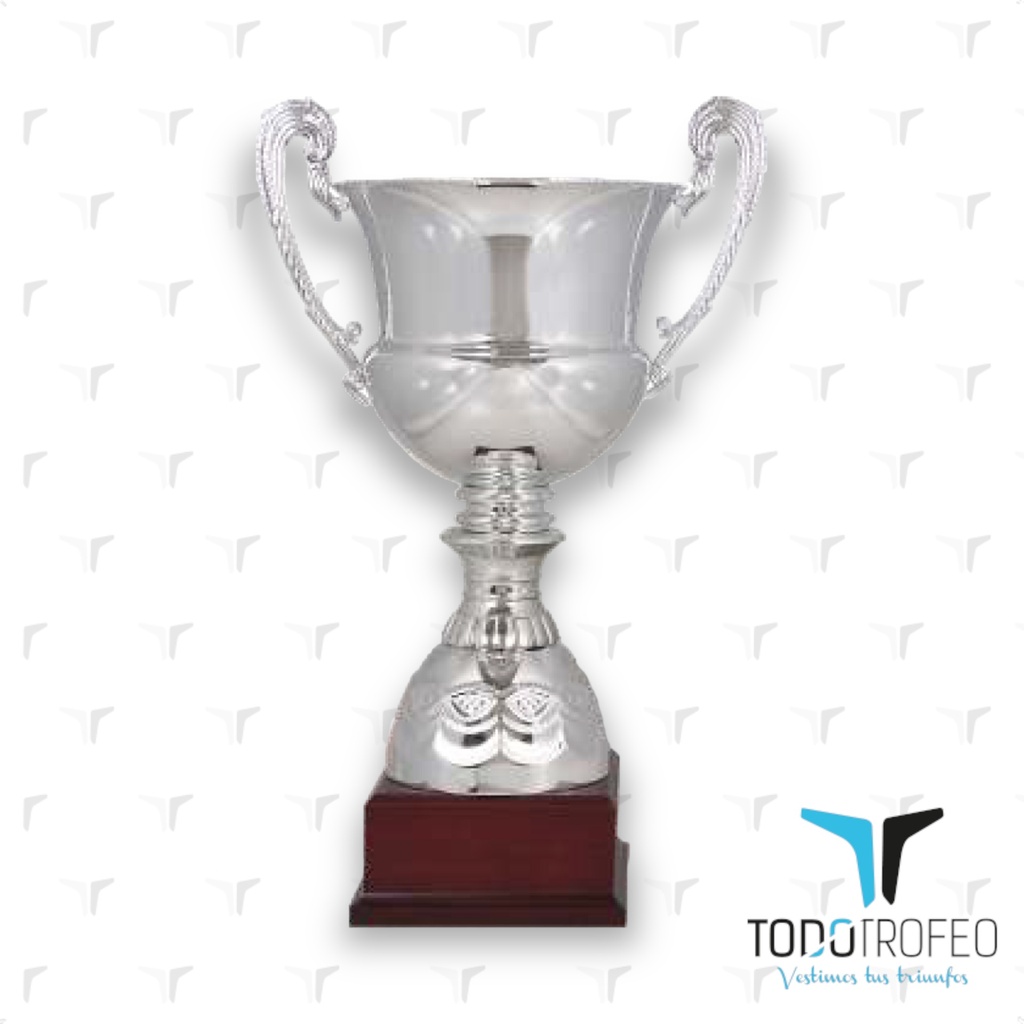 Trofeo 12037/2 alt.36cm  pl. c/asas