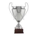Trofeo plateado con asas finas