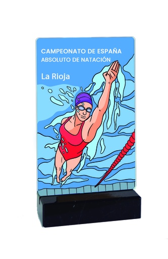 Trofeo TM09B rectangular metacrilato a color con peana de mármol