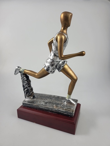 [C11207.3-10] Resina 11207/3-10 atl/cross 24cm