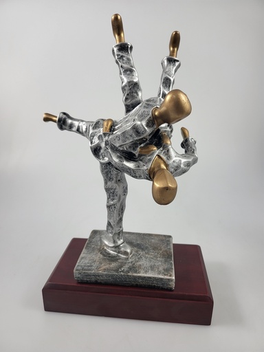 [C15235.3] Resina 15235/3 24cm judo