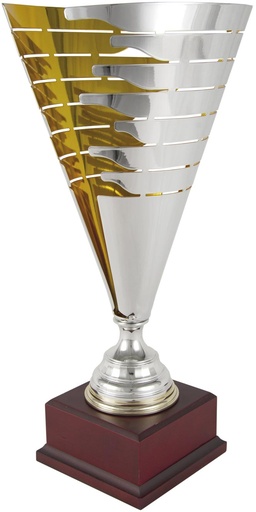 Copa Bicolor Plata-Oro con líneas