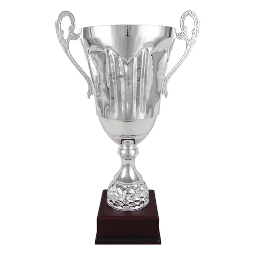 Trofeo clásico plata con asas decoradas