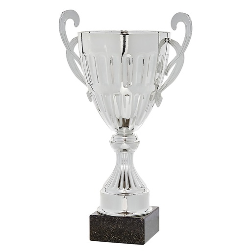 Trofeo copa plata doble asa