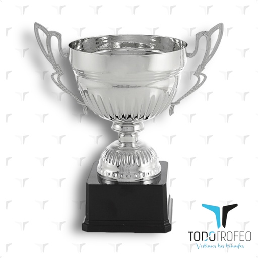 [C17025.2] Trofeo 17025/2 27cm plata/brillante