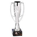 [C18071.1] Trofeo 18071/1 alt.24cm plata c/asas