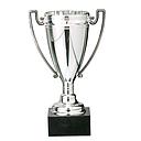 [C18072.3] Trofeo 18072/3 alt.12cm plata/oro